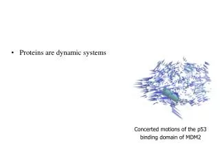 Proteins are dynamic systems