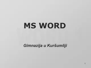 ms word