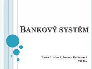 bankov syst m