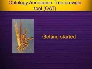 Ontology Annotation Tree browser tool (OAT)