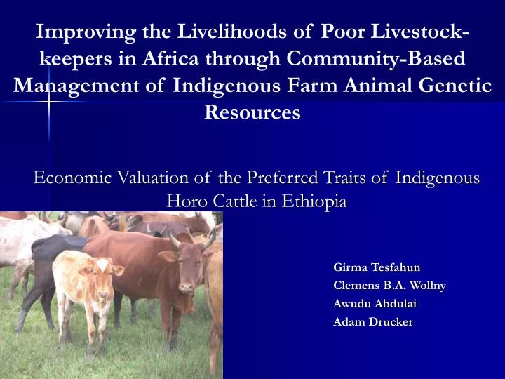 economic valuation of the preferred traits of indigenous horo cattle in ethiopia