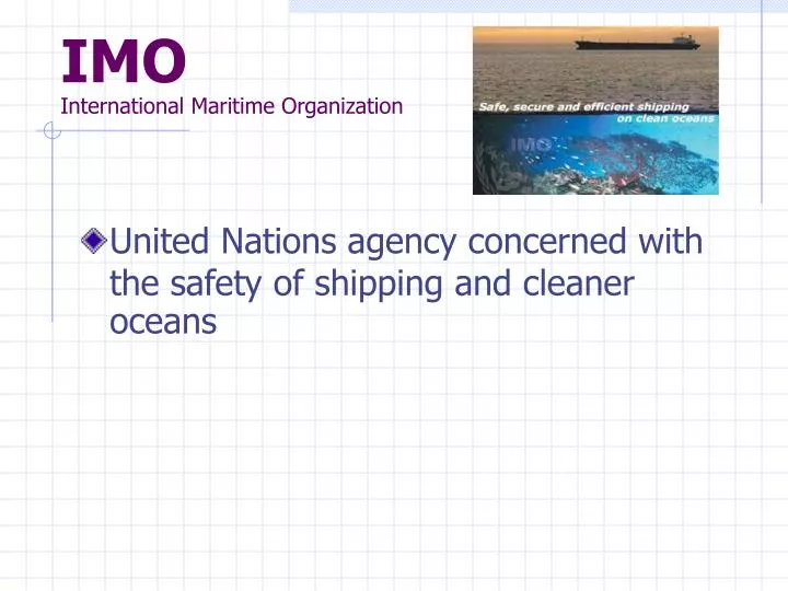 imo international maritime organization