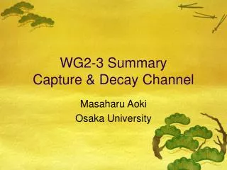 WG2-3 Summary Capture &amp; Decay Channel