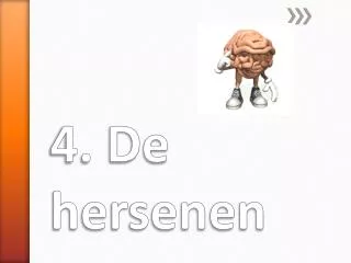 4 de hersenen