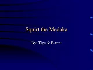 Squirt the Medaka