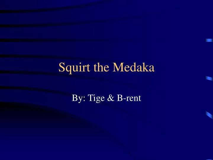 squirt the medaka