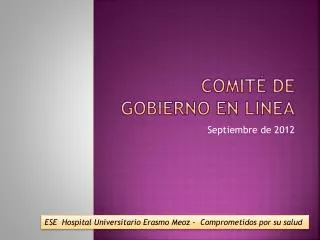 comit de gobierno en linea