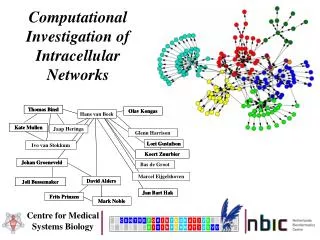 Computational Investigation of Intracellular Networks