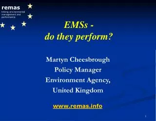 remas linking environmental management and performance