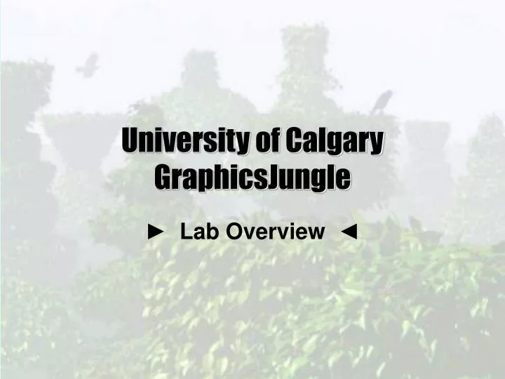 university of calgary graphicsjungle