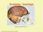 Anatomie / fysiologie - slide 1