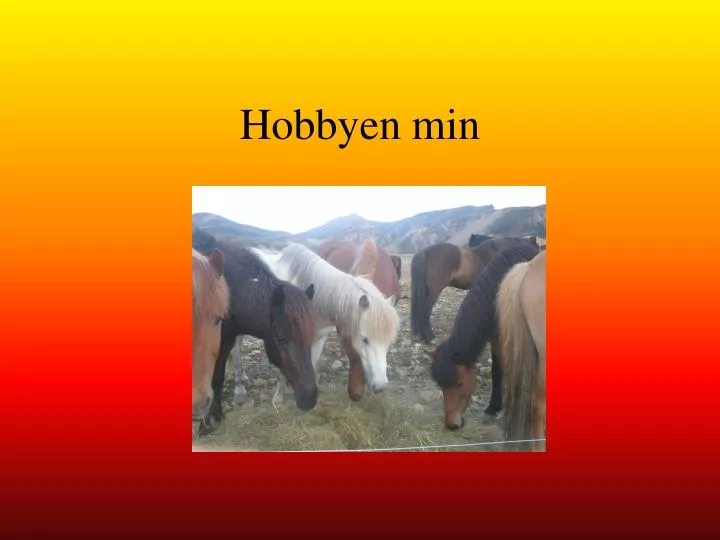 hobbyen min