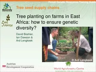 Tree seed supply chains