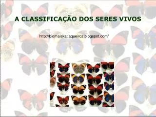 a classifica o dos seres vivos