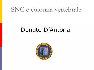 snc e colonna vertebrale
