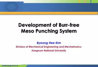 Development of Burr-free Meso Punching System