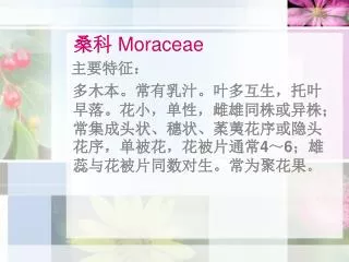moraceae
