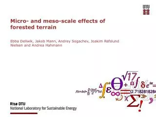 Micro- and meso -scale effects of forested terrain