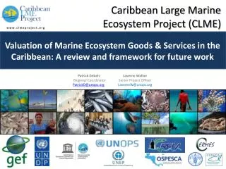 Caribbean Large Marine Ecosystem Project (CLME)