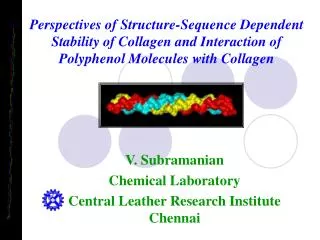 V. Subramanian Chemical Laboratory Central Leather Research Institute Chennai