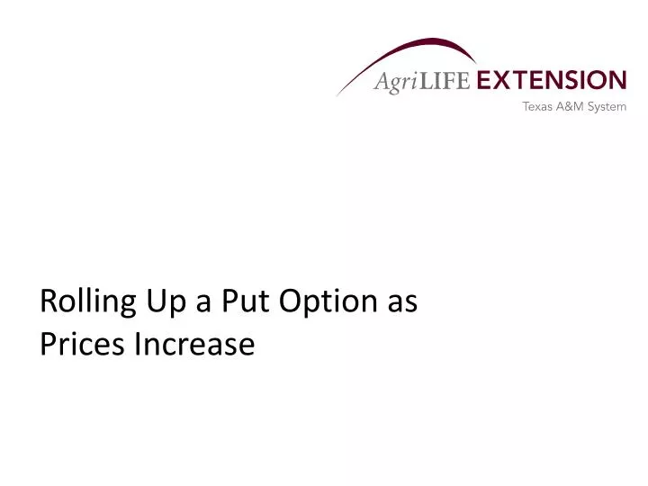 rolling up a put option as prices increase