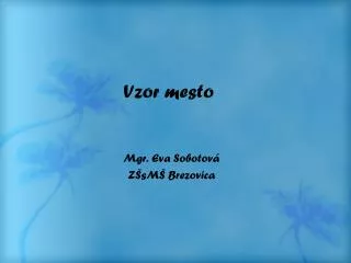 vzor mesto