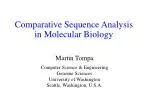 Comparative Sequence Analysis in Molecular Biology - slide 1