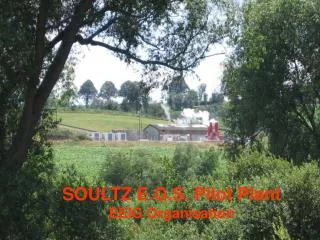 SOULTZ E.G.S. Pilot Plant EEIG Organisation