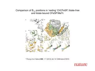 Y Kung et al . Nature 000 , 1 - 7 (2012) doi:10.1038/nature10916