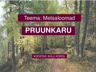 teema metsaloomad