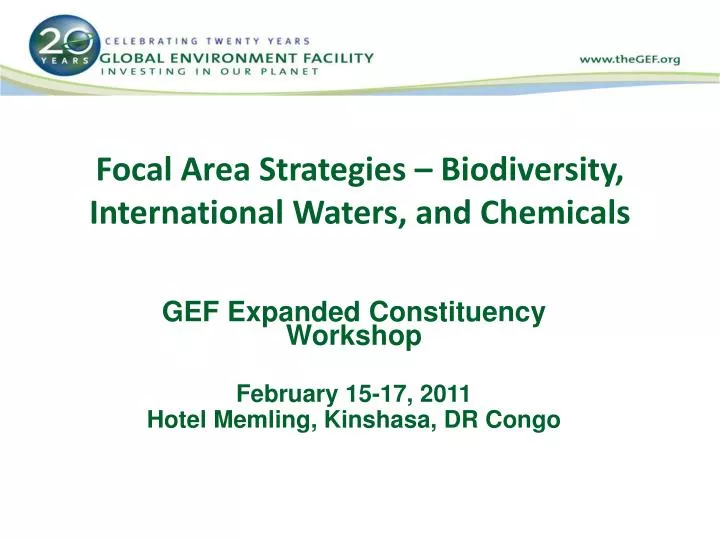 focal area strategies biodiversity international waters and chemicals