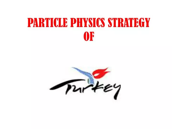 particle physics strategy of