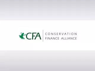 About the CFA