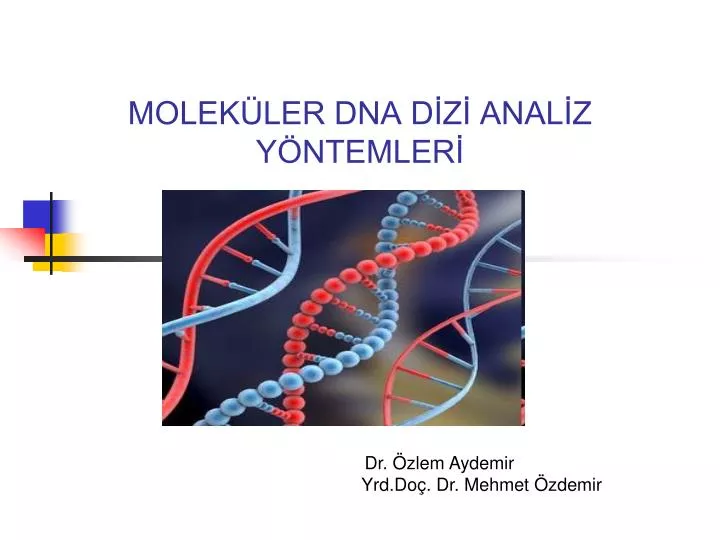 molek ler dna d z anal z y ntemler