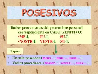 posesivos