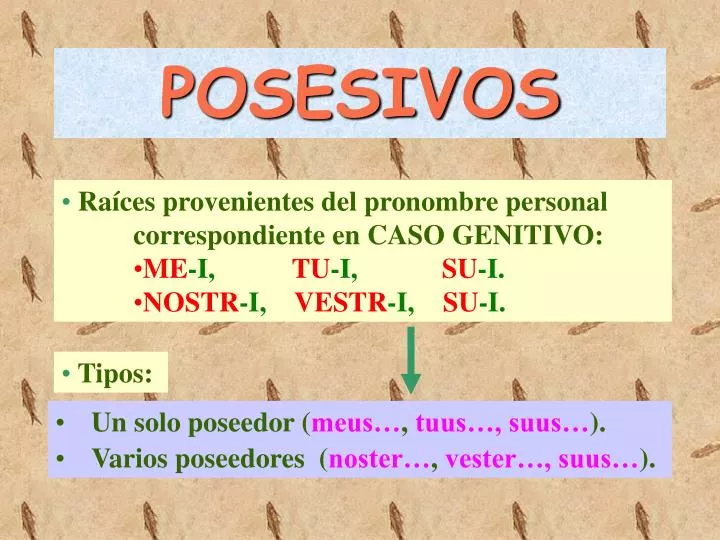 posesivos