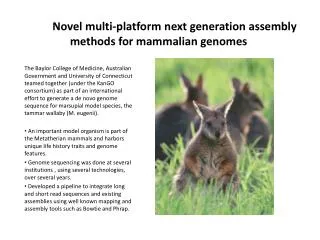 Novel multi-platform next generation assembly methods for mammalian genomes