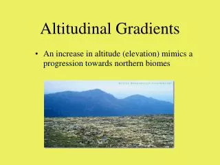 Altitudinal Gradients