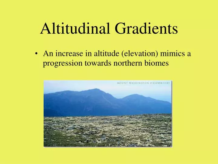 altitudinal gradients