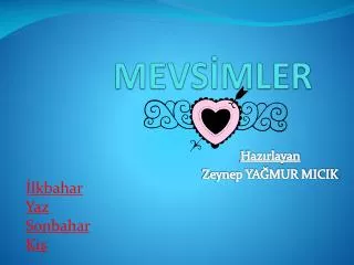 mevs mler
