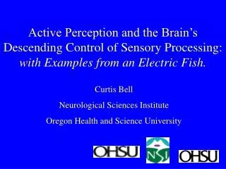 Curtis Bell Neurological Sciences Institute Oregon Health and Science University