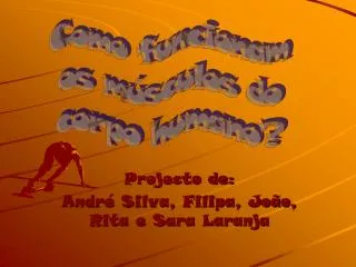projecto de andr silva filipa jo o rita e sara laranja