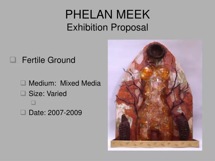 phelan meek exhibition proposal