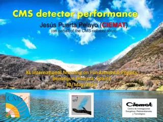 CMS detector performance