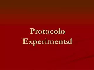 Protocolo Experimental