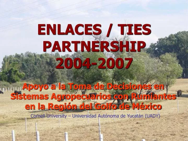 enlaces ties partnership 2004 2007