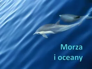 morza i oceany