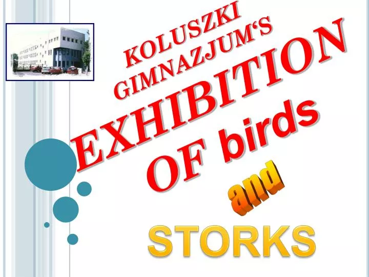 koluszki gimnazjum s exhibition of birds