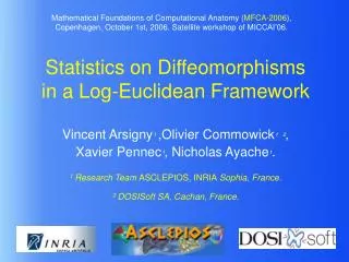 Statistics on Diffeomorphisms in a Log-Euclidean Framework
