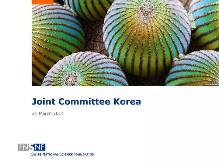 joint committee korea 31 march 2014